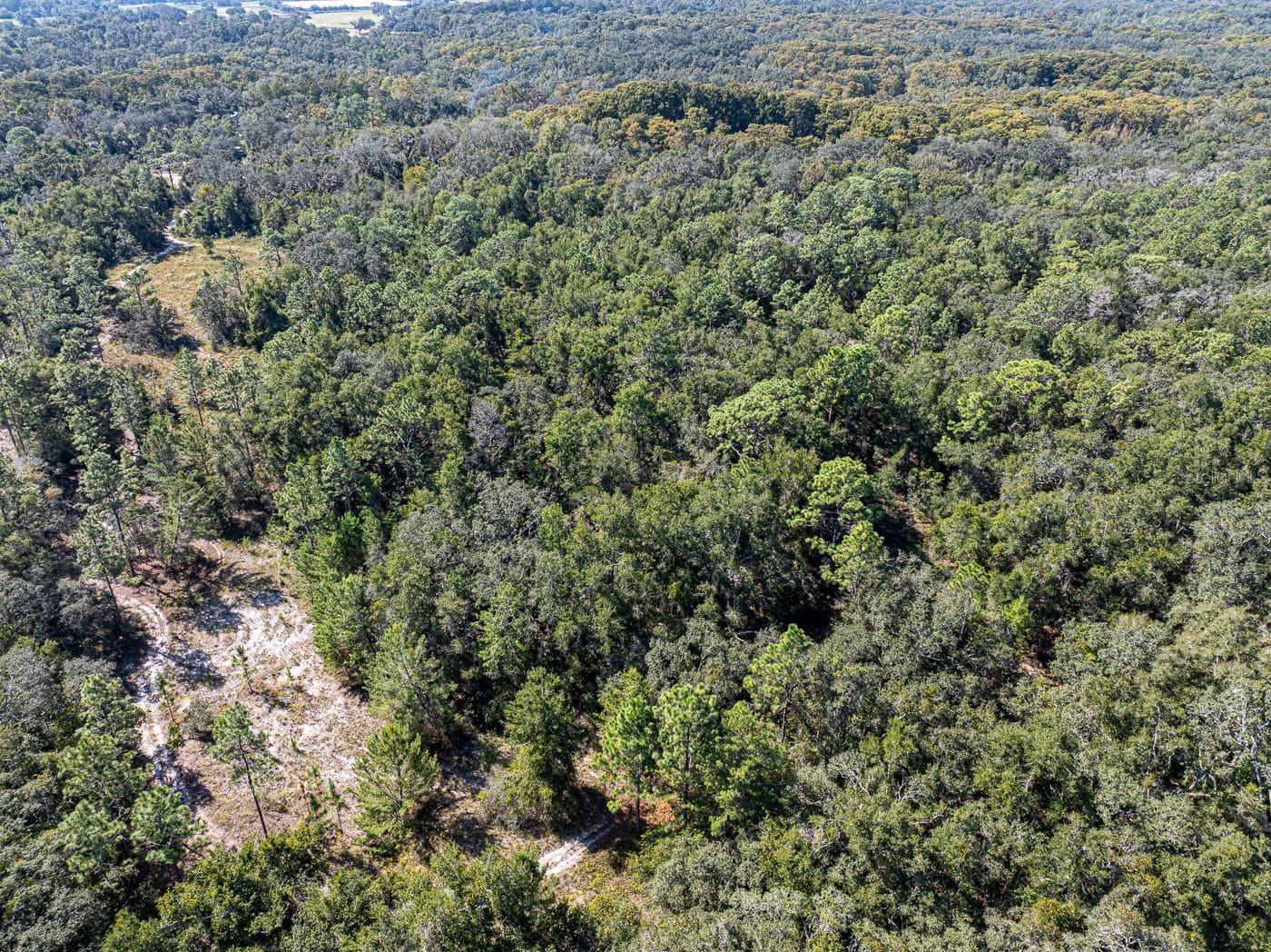 Land at 34095 HYATT RD, DADE CITY, photo 7 of 45