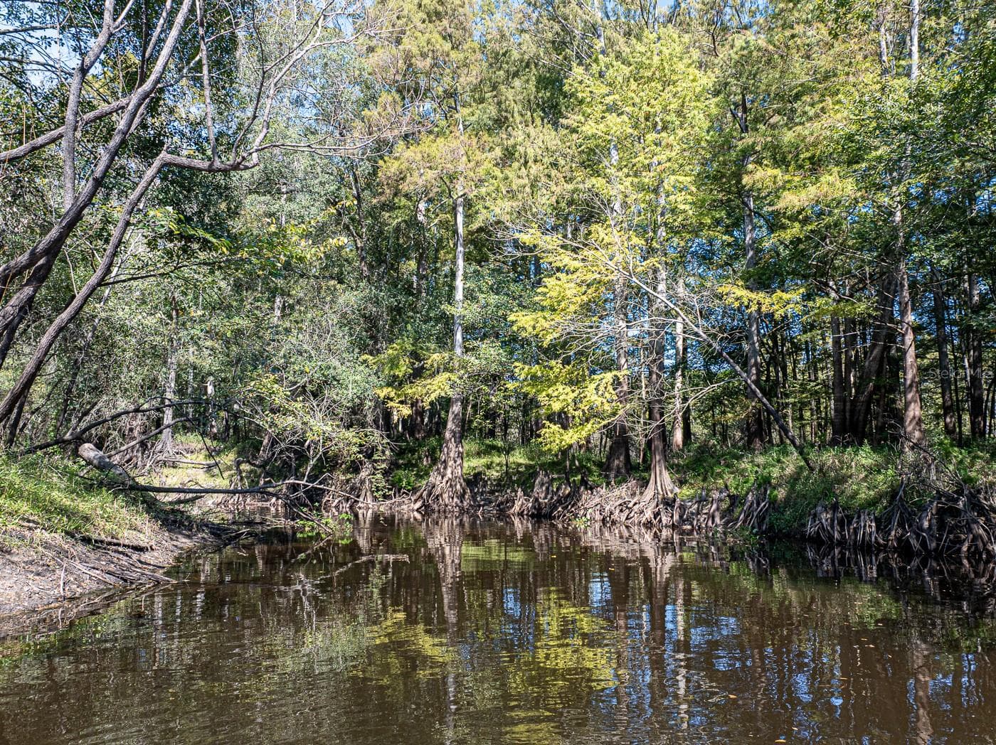 Land at 34095 HYATT RD, DADE CITY, photo 13 of 45