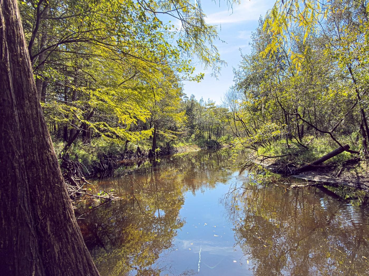 Land at 34095 HYATT RD, DADE CITY, photo 14 of 45