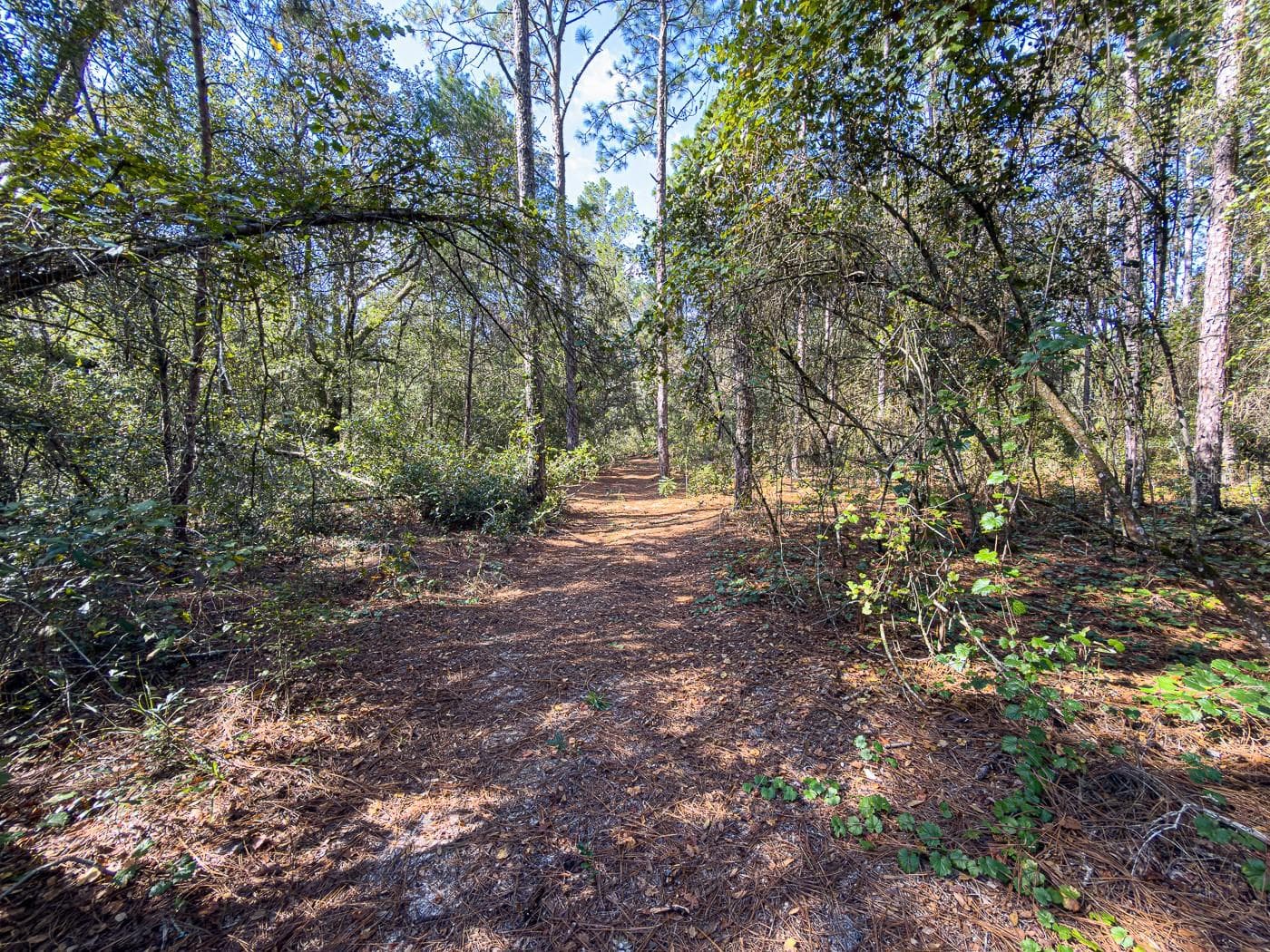 Land at 34095 HYATT RD, DADE CITY, photo 17 of 45