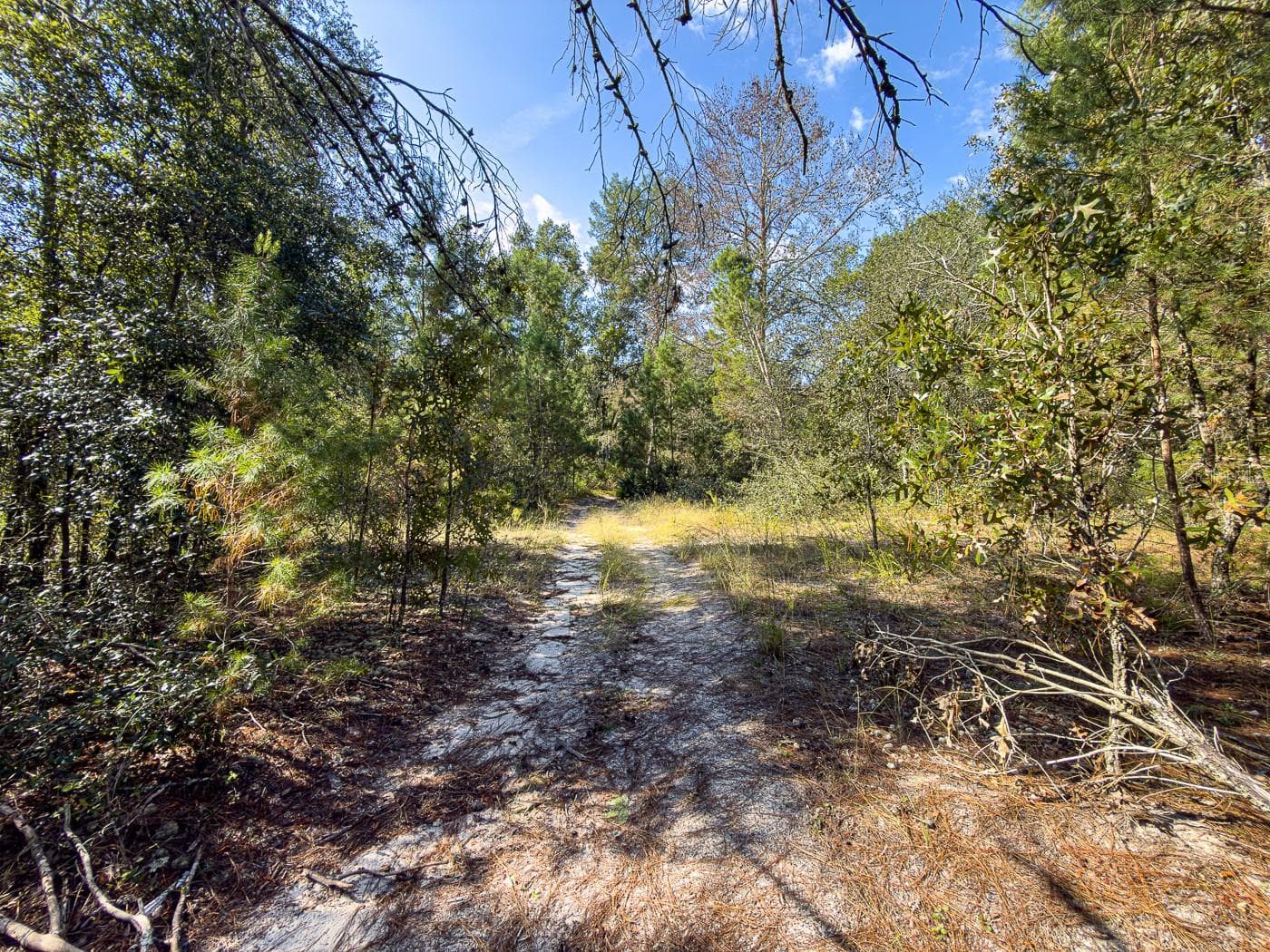 Land at 34095 HYATT RD, DADE CITY, photo 18 of 45