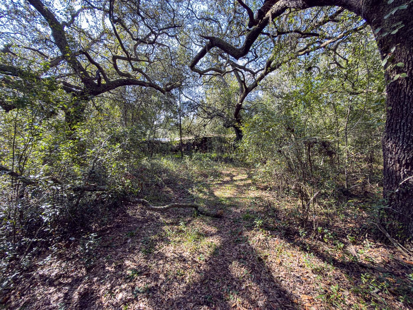 Land at 34095 HYATT RD, DADE CITY, photo 22 of 45