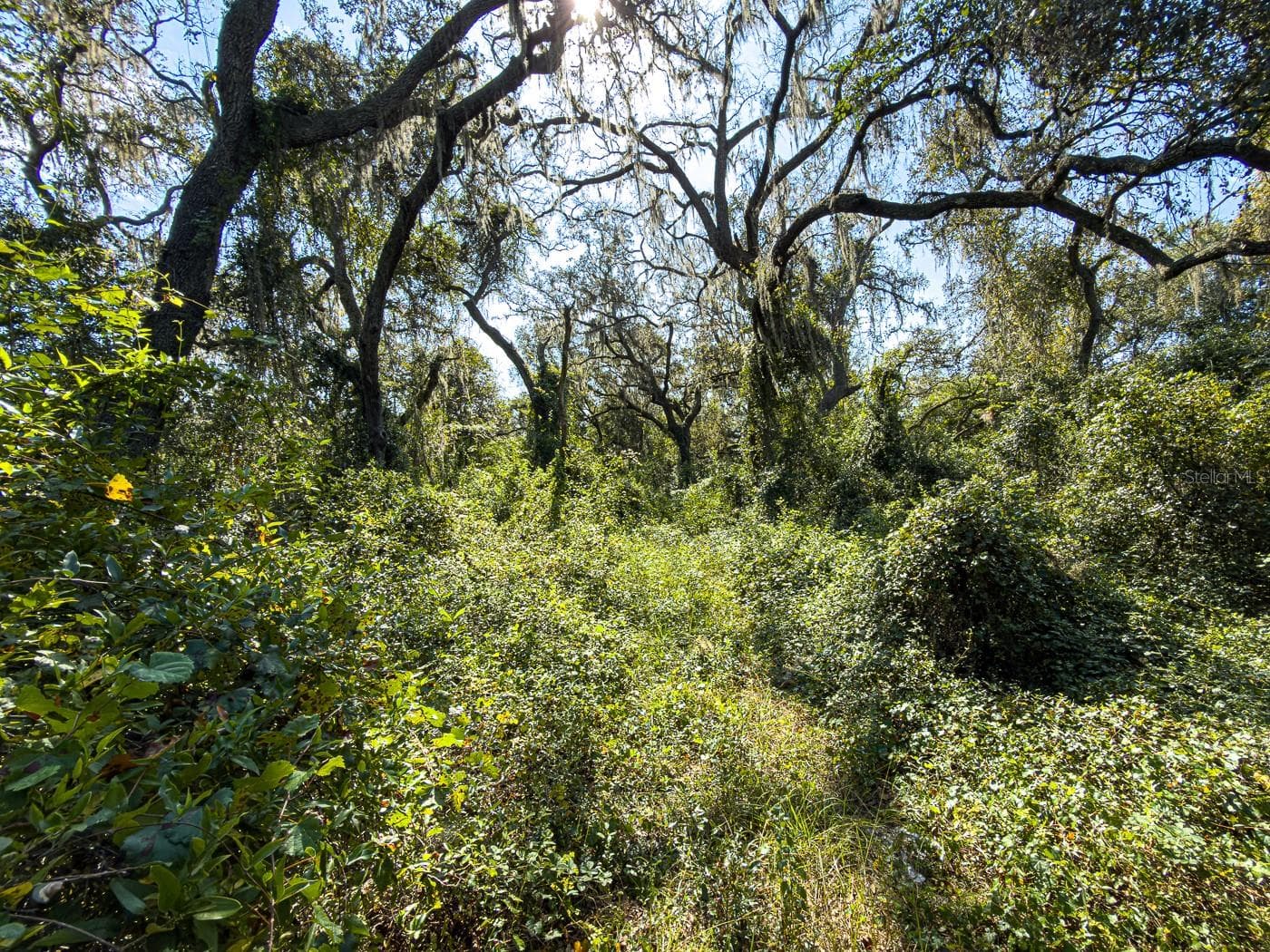 Land at 34095 HYATT RD, DADE CITY, photo 23 of 45