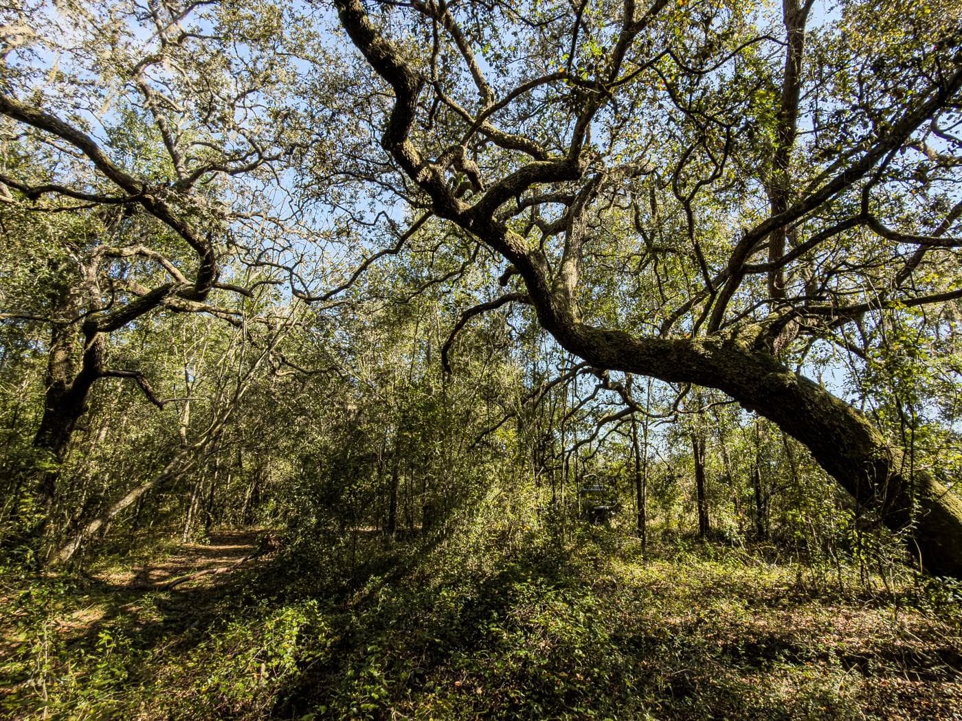 Land at 34095 HYATT RD, DADE CITY, photo 24 of 45