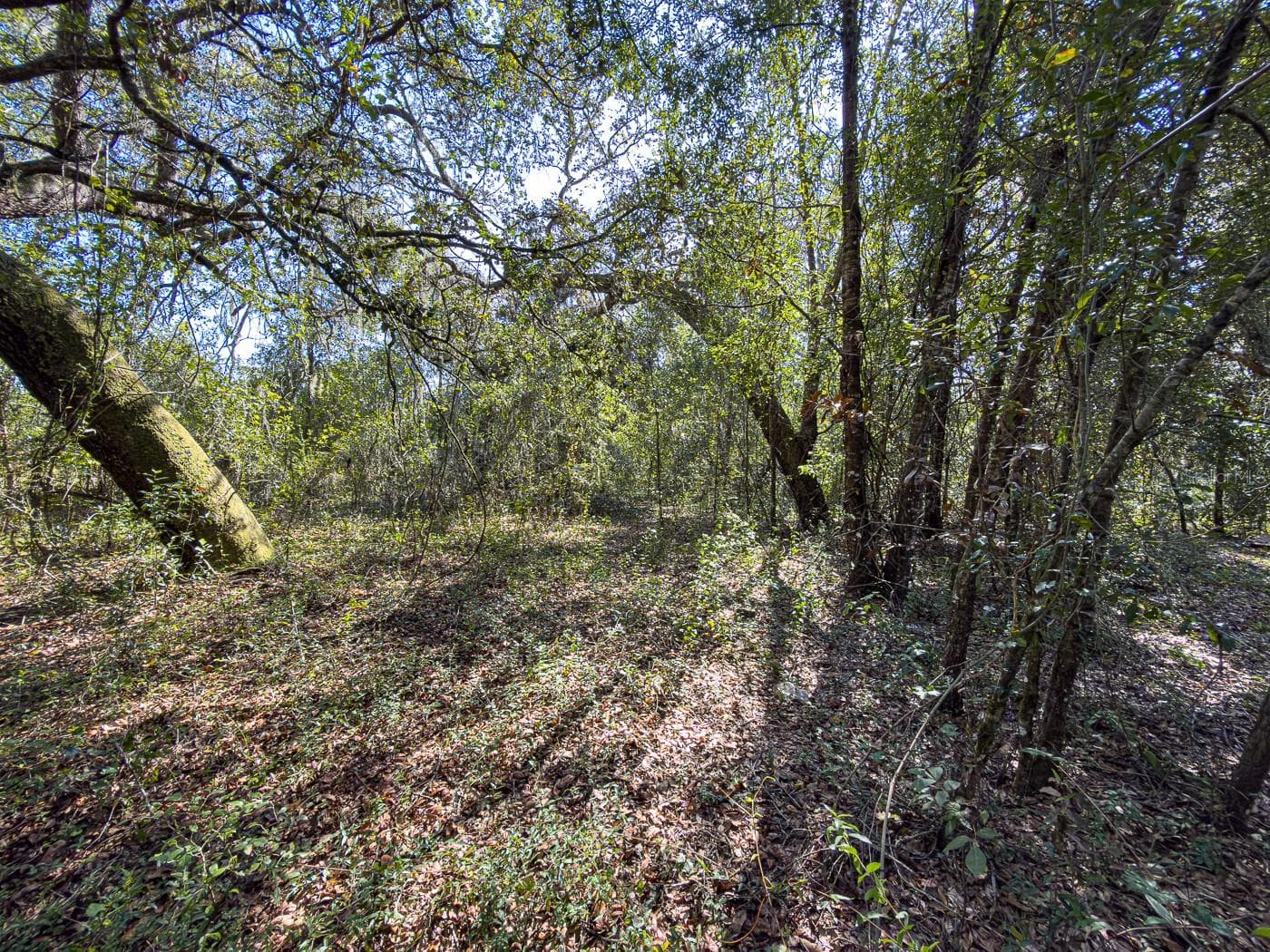 Land at 34095 HYATT RD, DADE CITY, photo 25 of 45