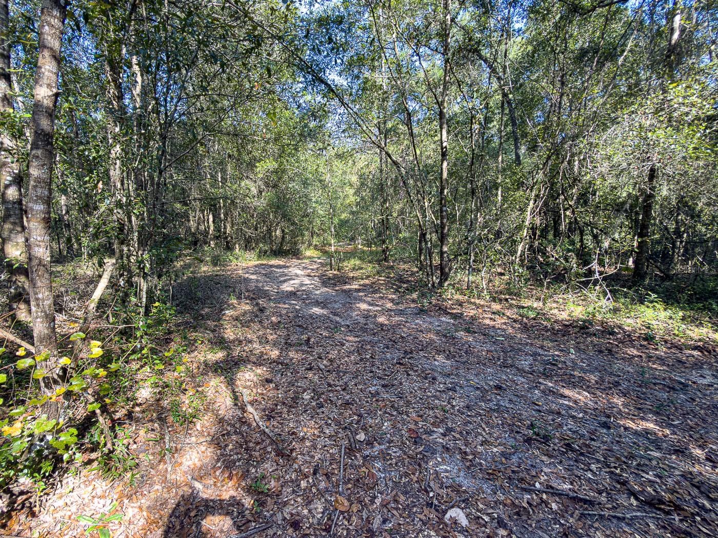 Land at 34095 HYATT RD, DADE CITY, photo 26 of 45