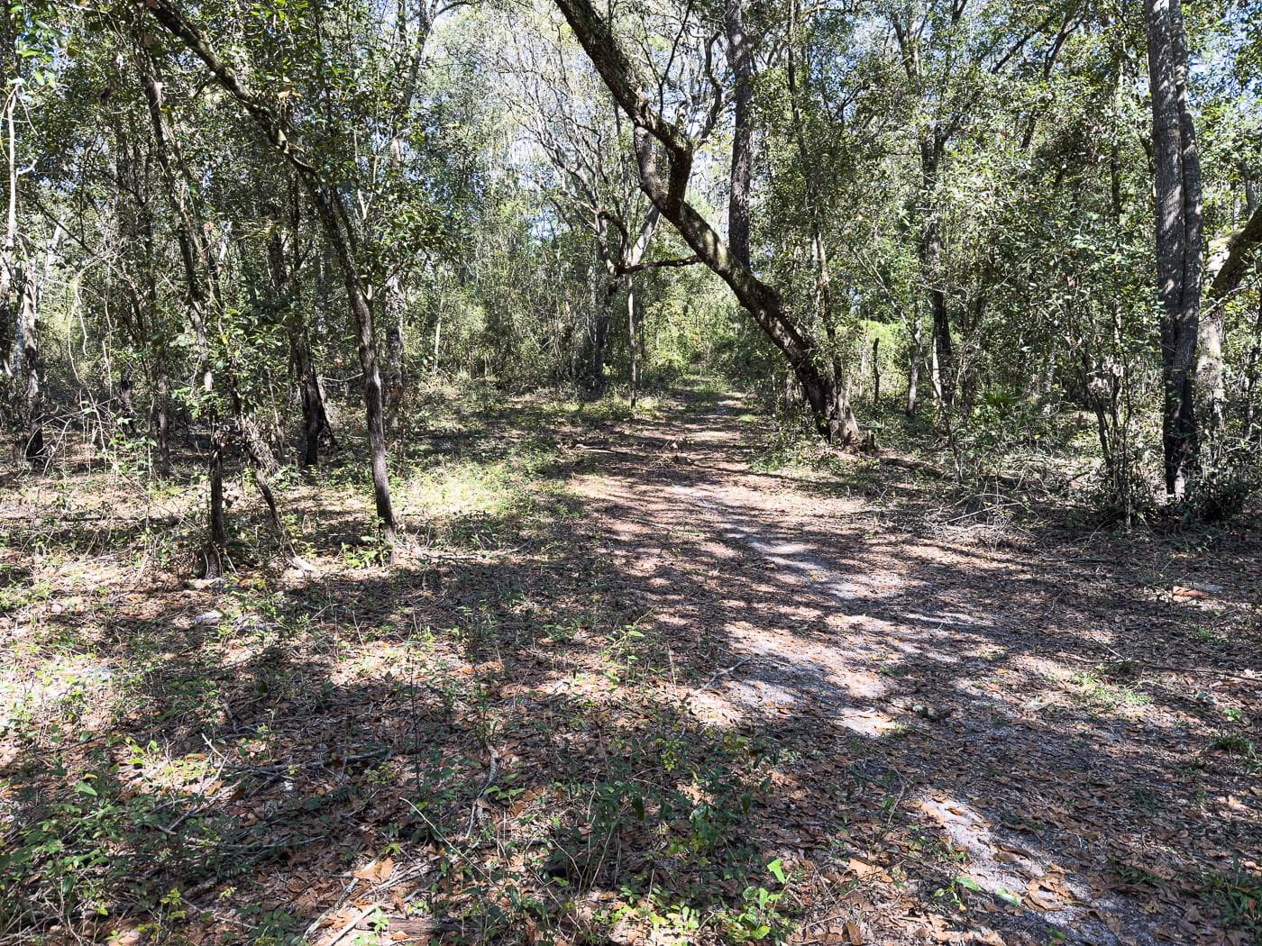 Land at 34095 HYATT RD, DADE CITY, photo 28 of 45