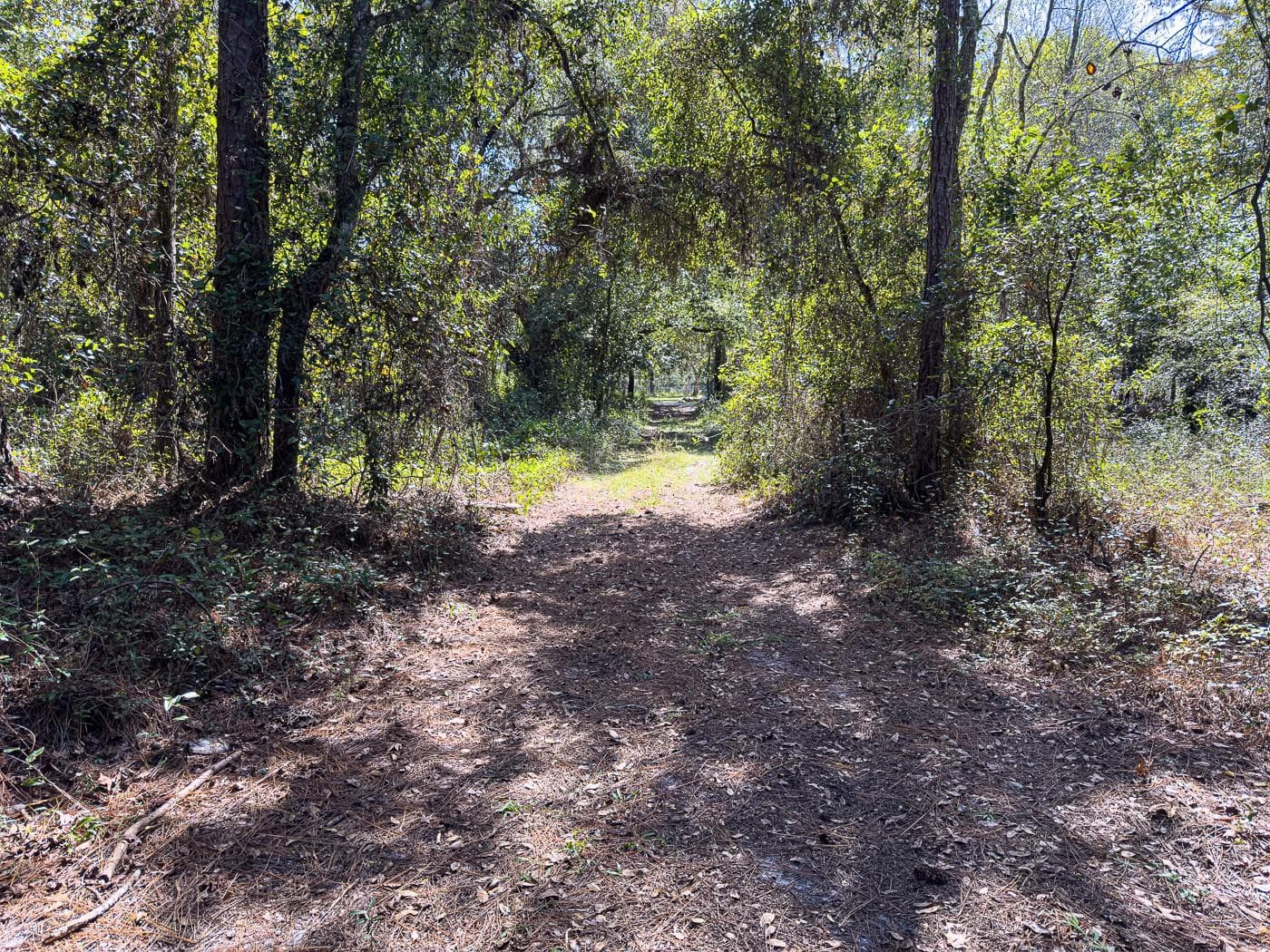 Land at 34095 HYATT RD, DADE CITY, photo 35 of 45