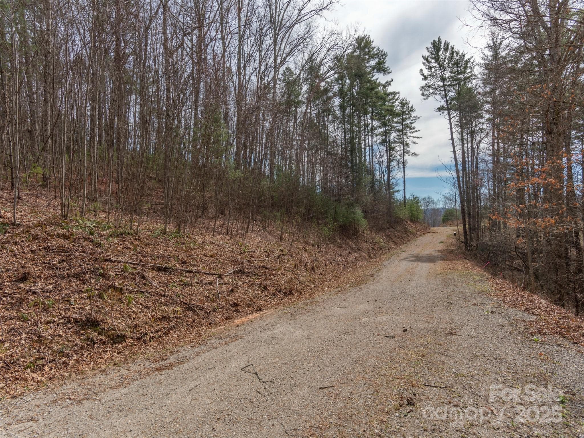 Lot at Clyde, photo 5 of 8