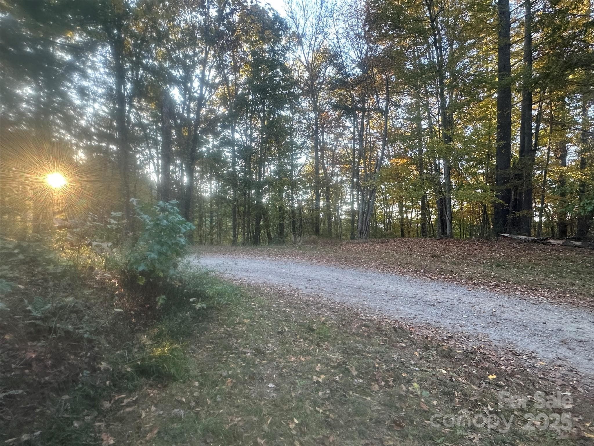 Lot at Clyde, photo 6 of 8