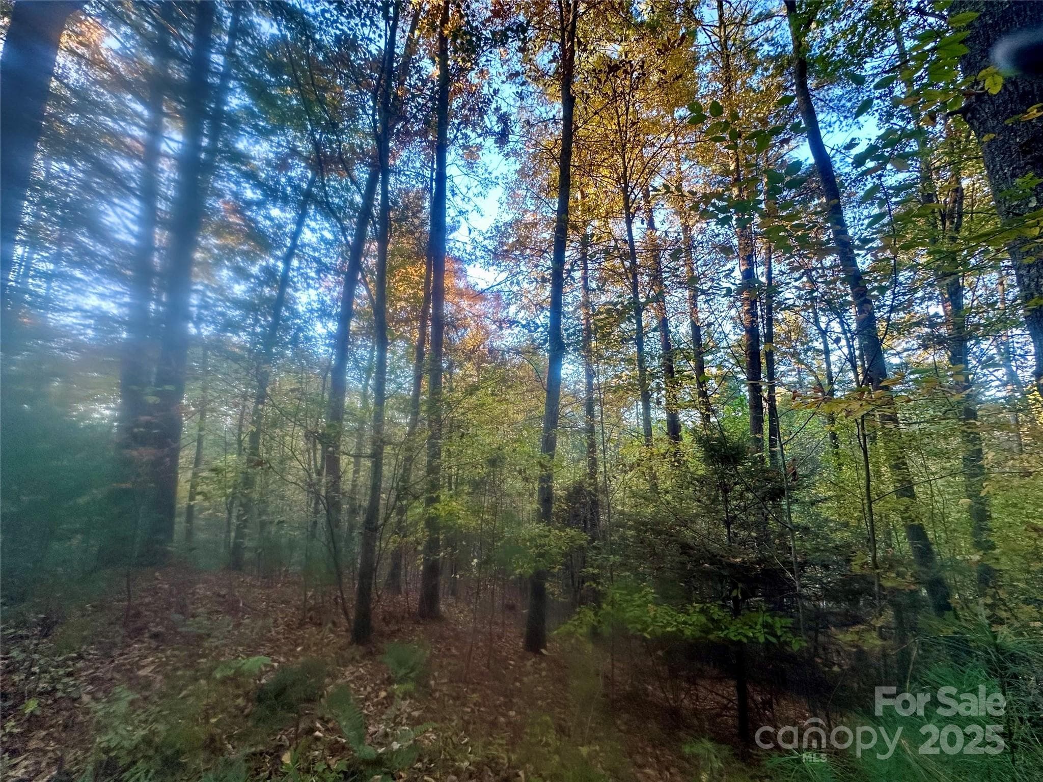 Lot at Clyde, photo 7 of 8