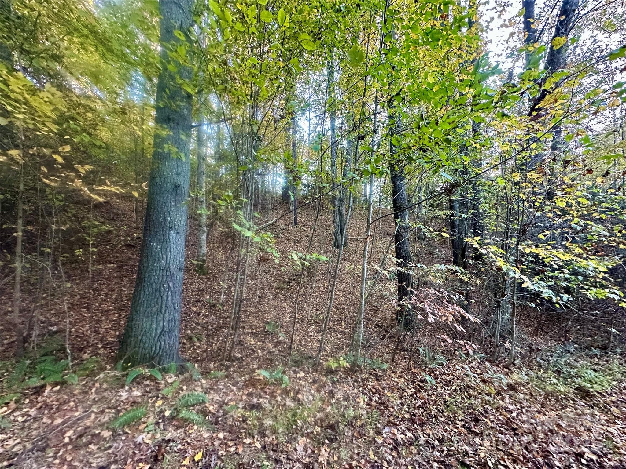 Lot at Clyde, photo 8 of 8