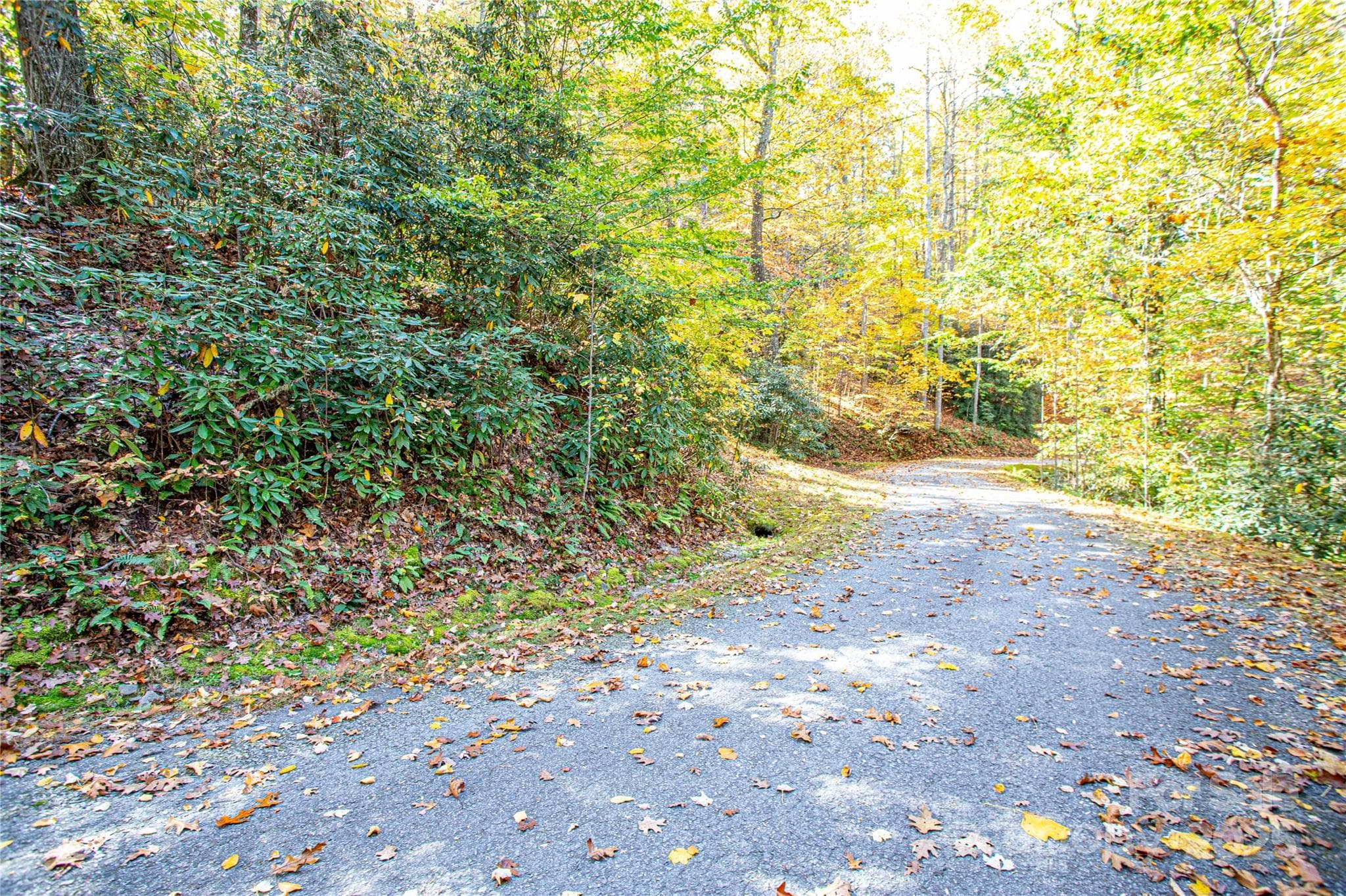 Lot at Brevard, photo 2 of 15