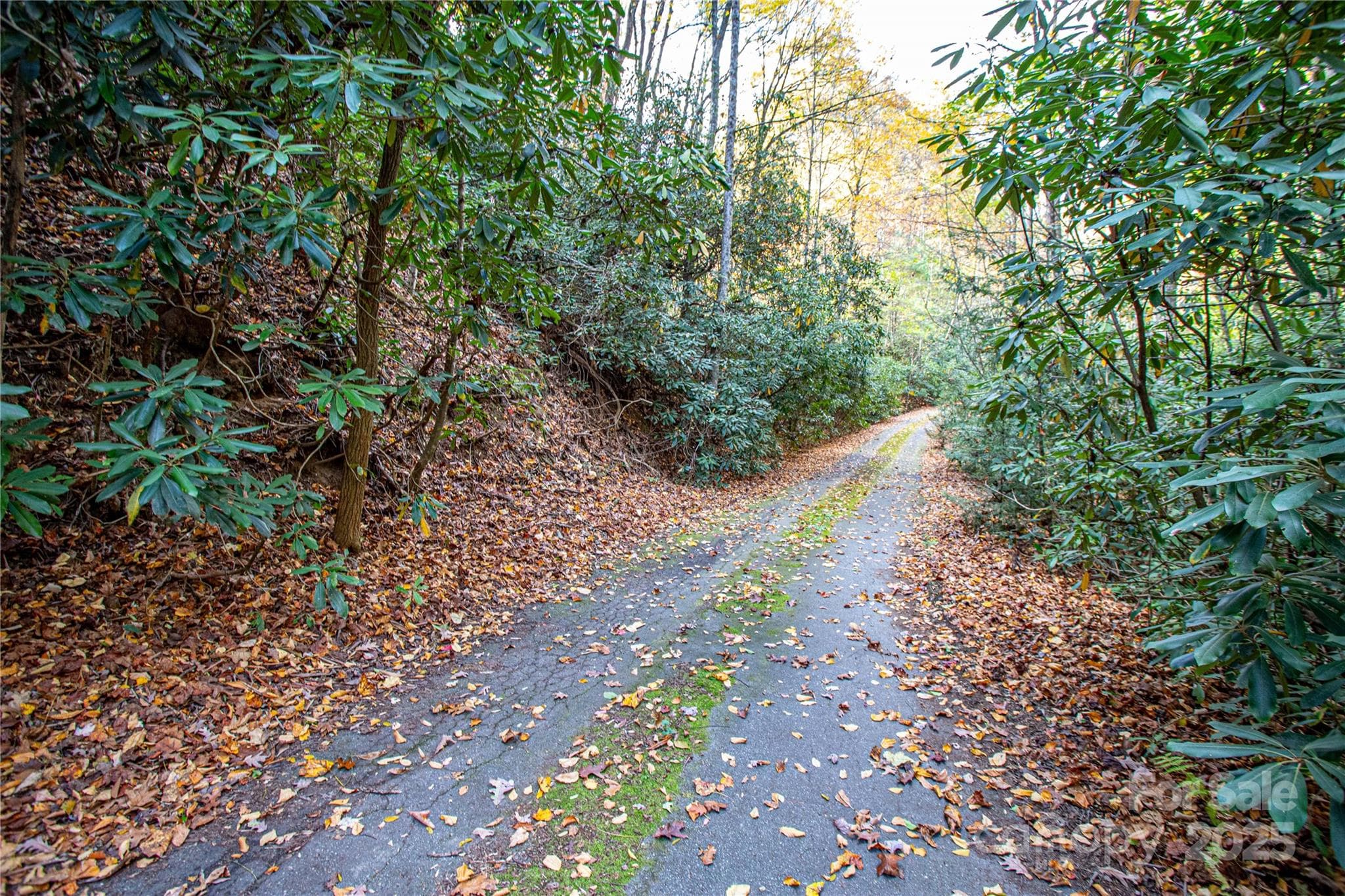 Lot at Brevard, photo 7 of 12