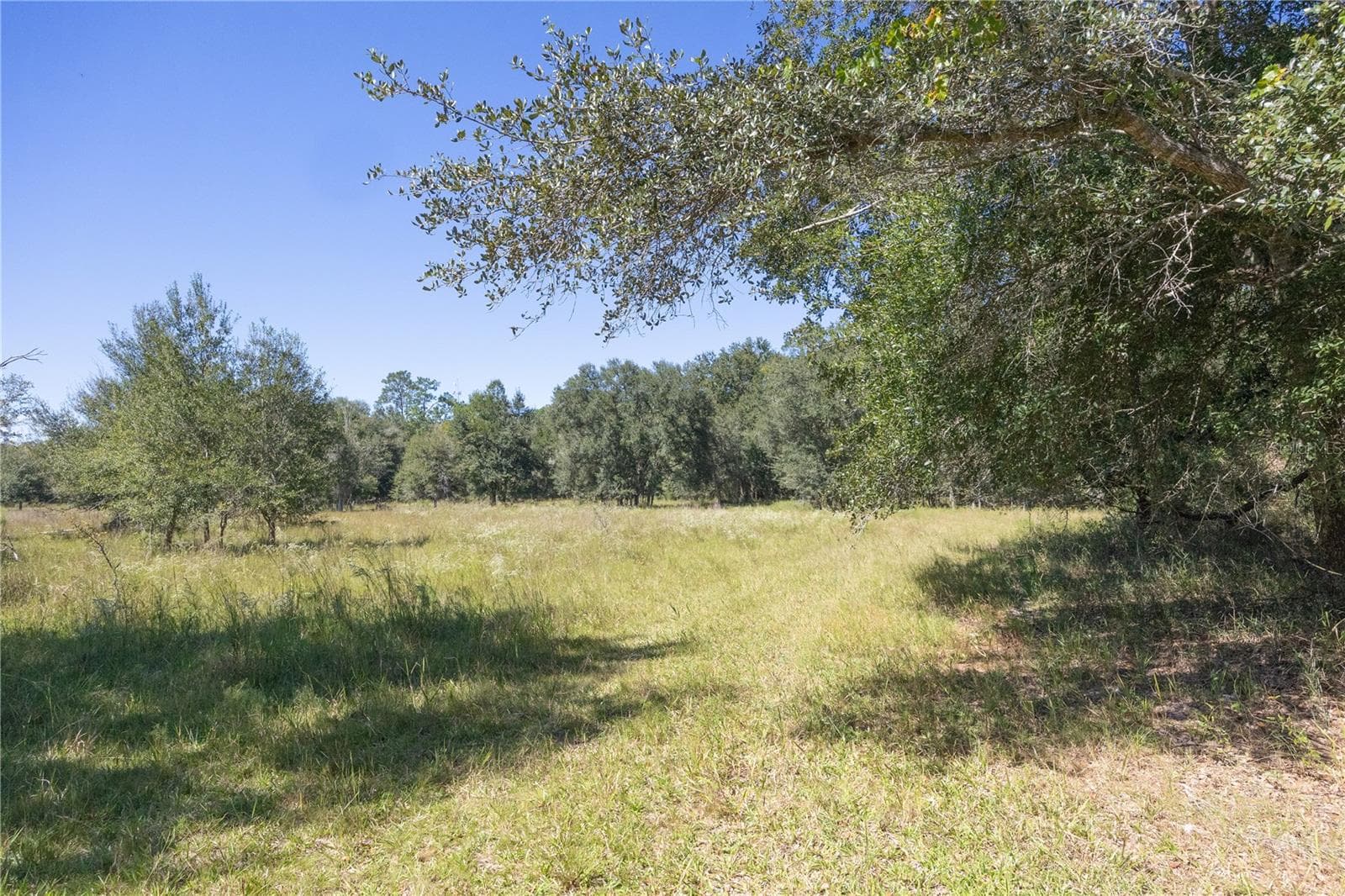 Land at TBD CR 673, WEBSTER, photo 9 of 69