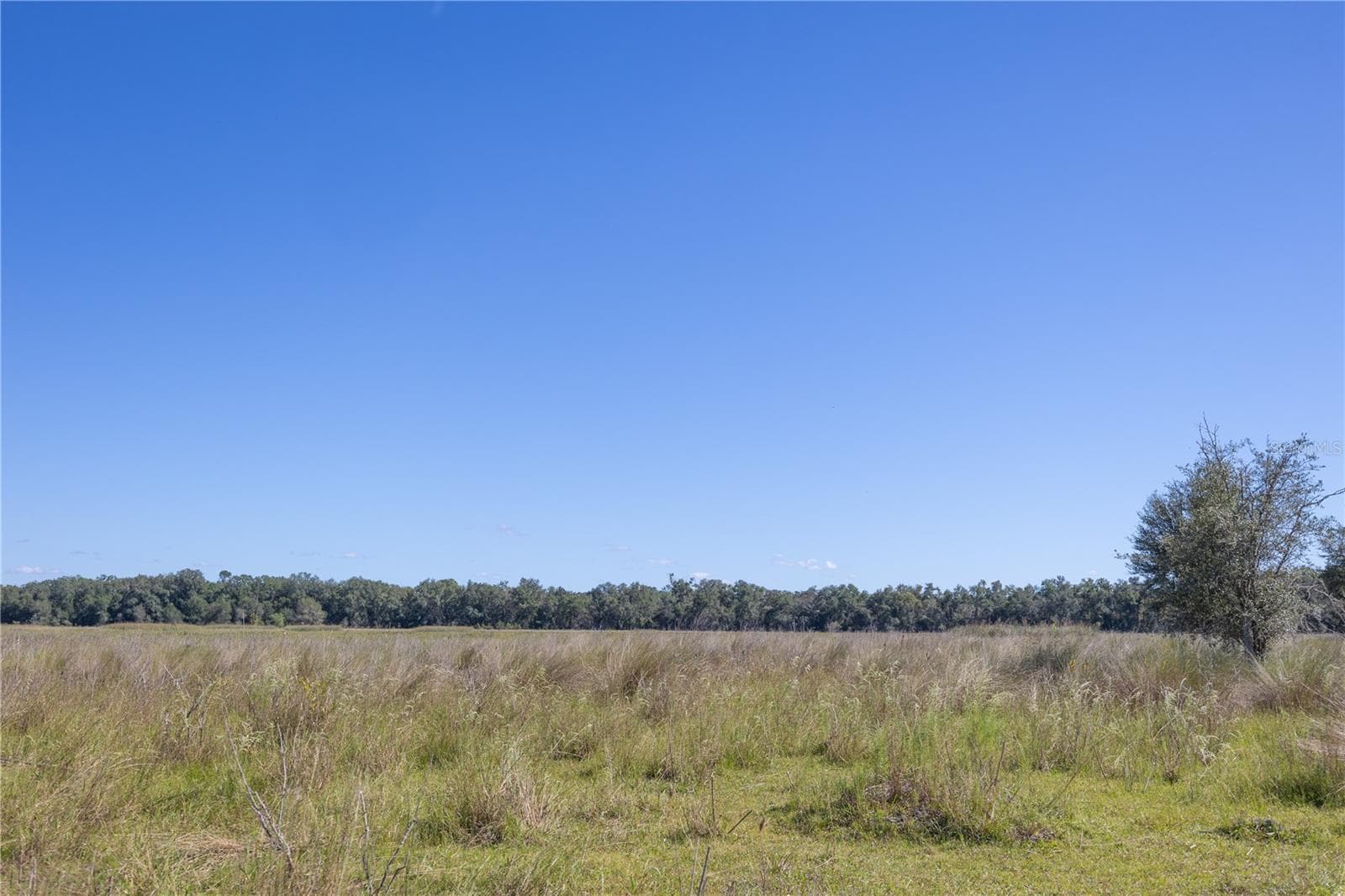 Land at TBD CR 673, WEBSTER, photo 10 of 69