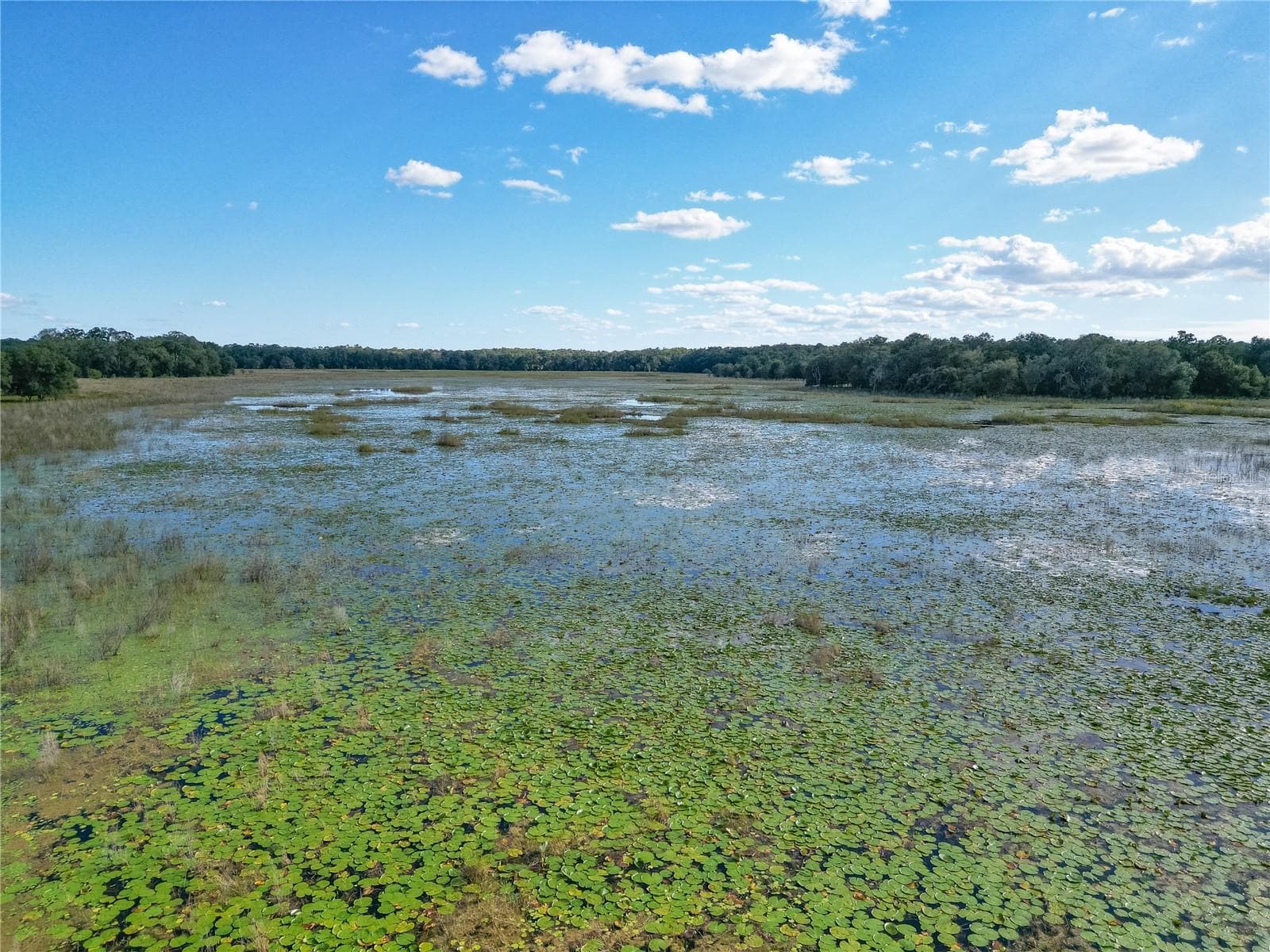 Land at TBD CR 673, WEBSTER, photo 11 of 69