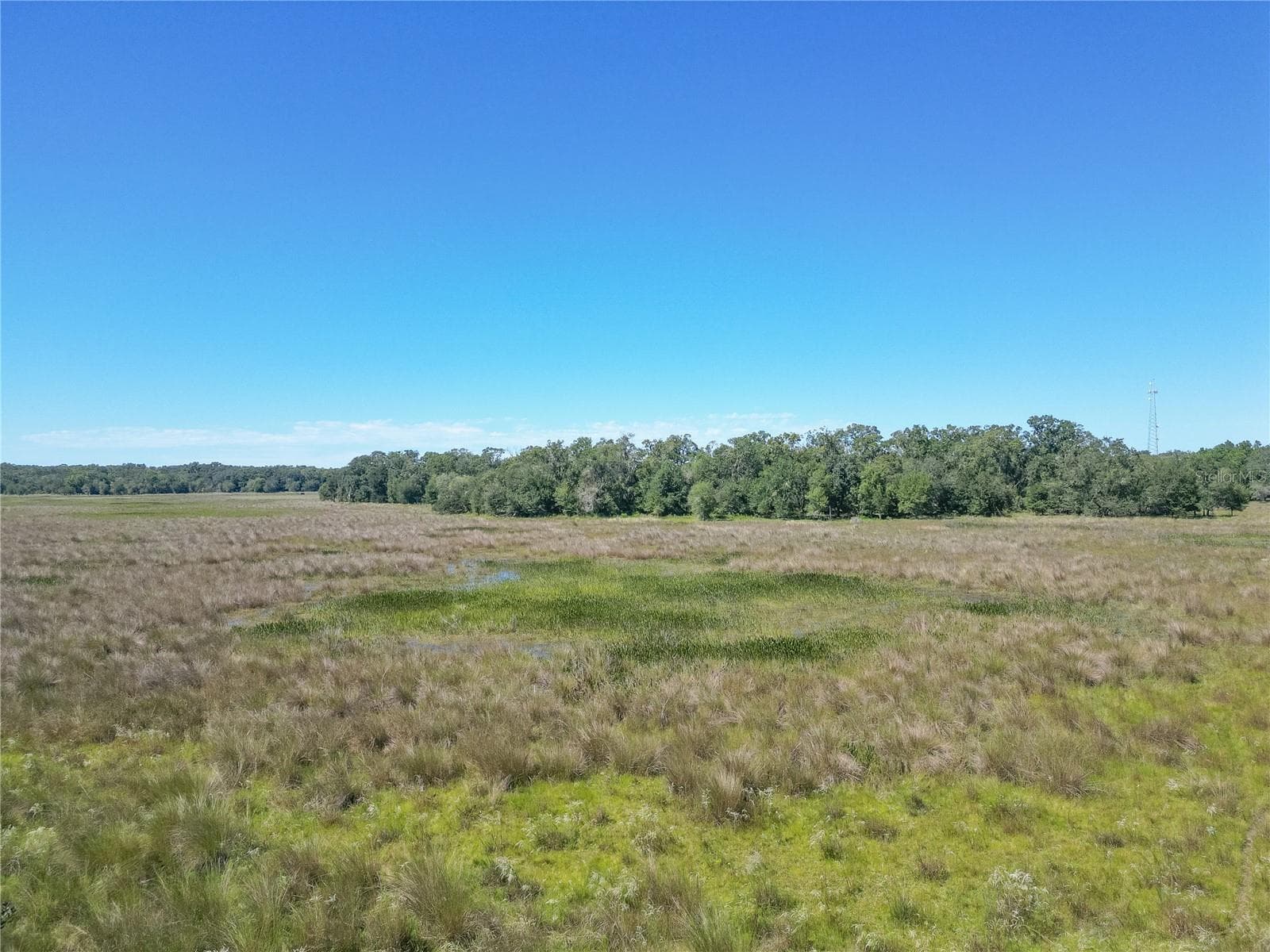 Land at TBD CR 673, WEBSTER, photo 14 of 69