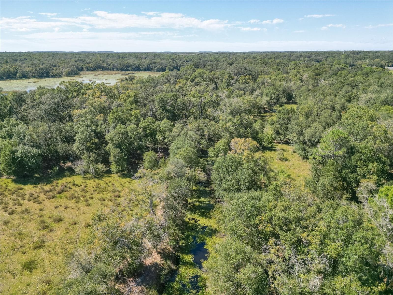 Land at TBD CR 673, WEBSTER, photo 15 of 69
