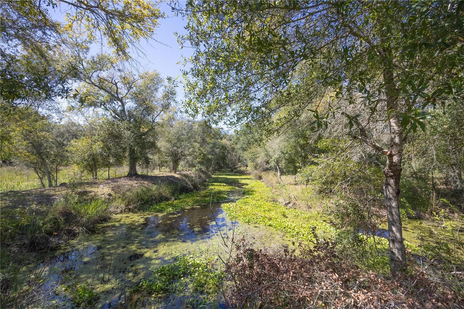 Land at TBD CR 673, WEBSTER, photo 16 of 69