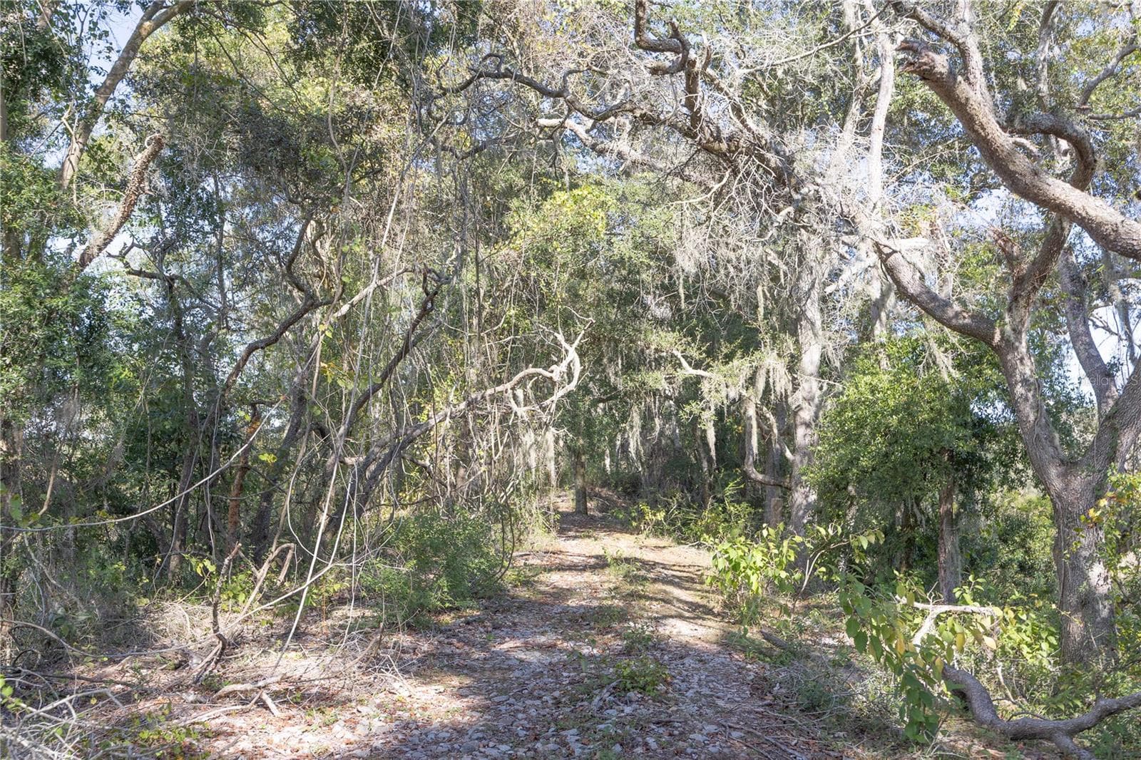 Land at TBD CR 673, WEBSTER, photo 17 of 69