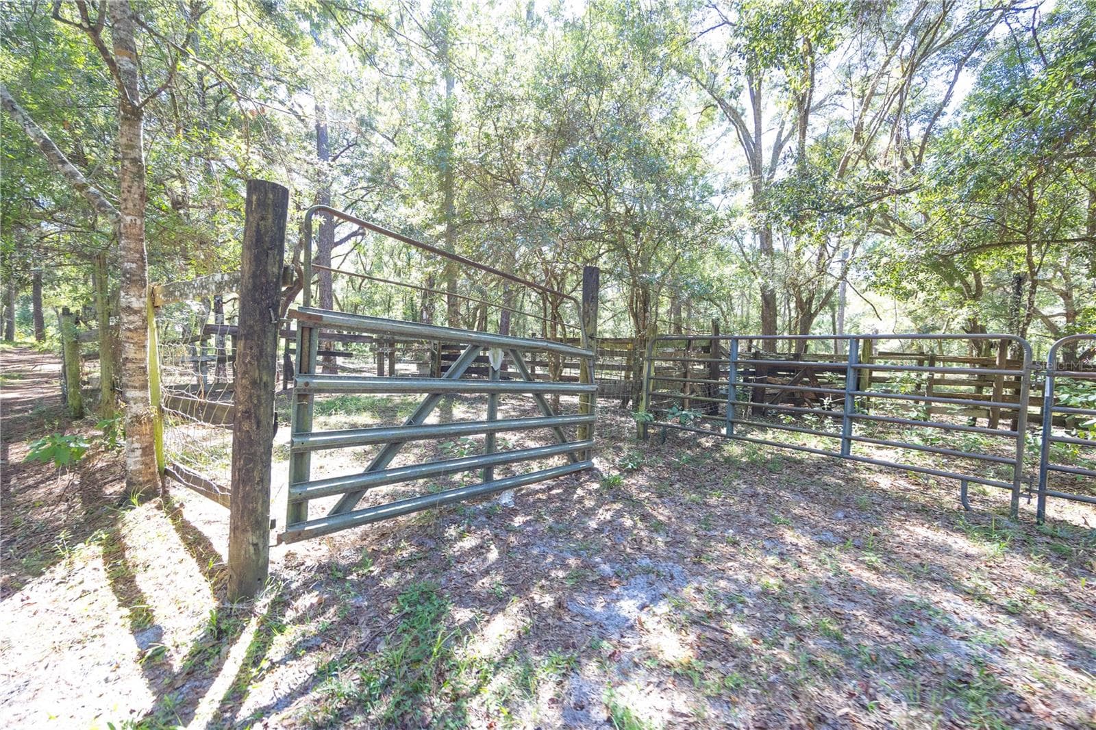 Land at TBD CR 673, WEBSTER, photo 18 of 69