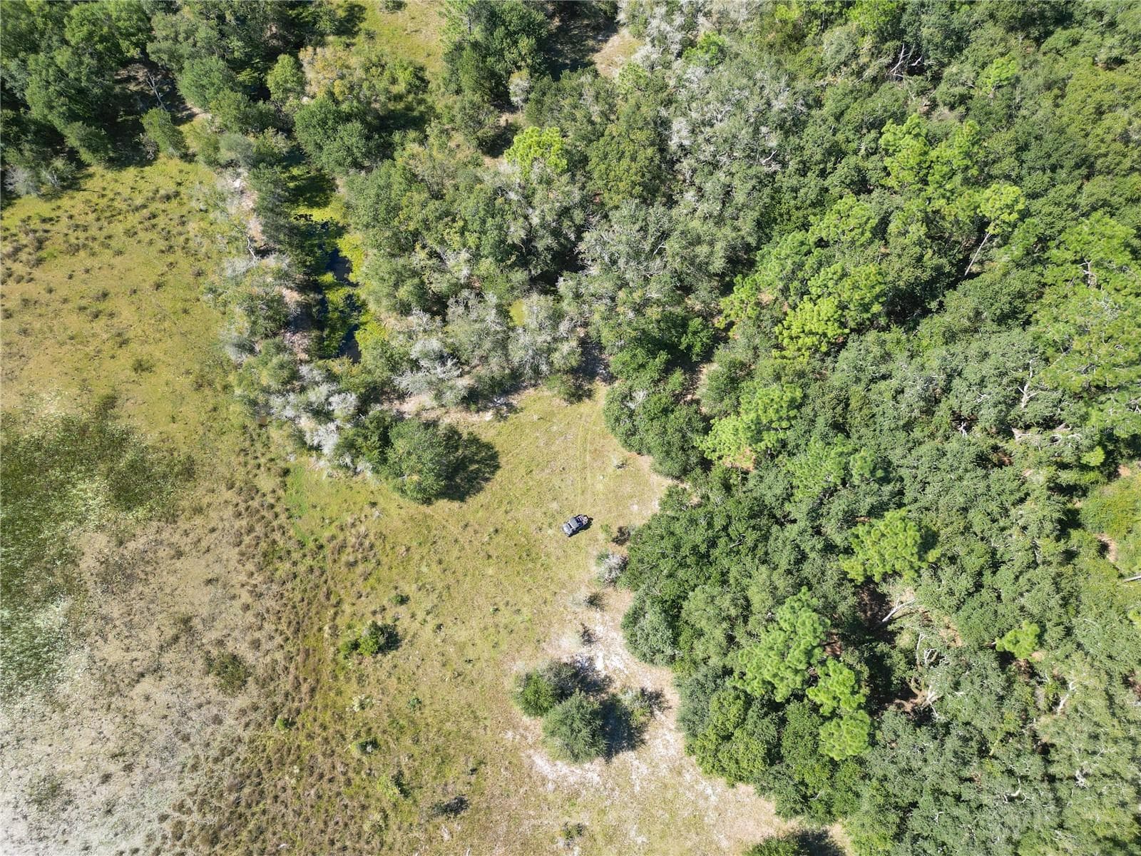 Land at TBD CR 673, WEBSTER, photo 19 of 69