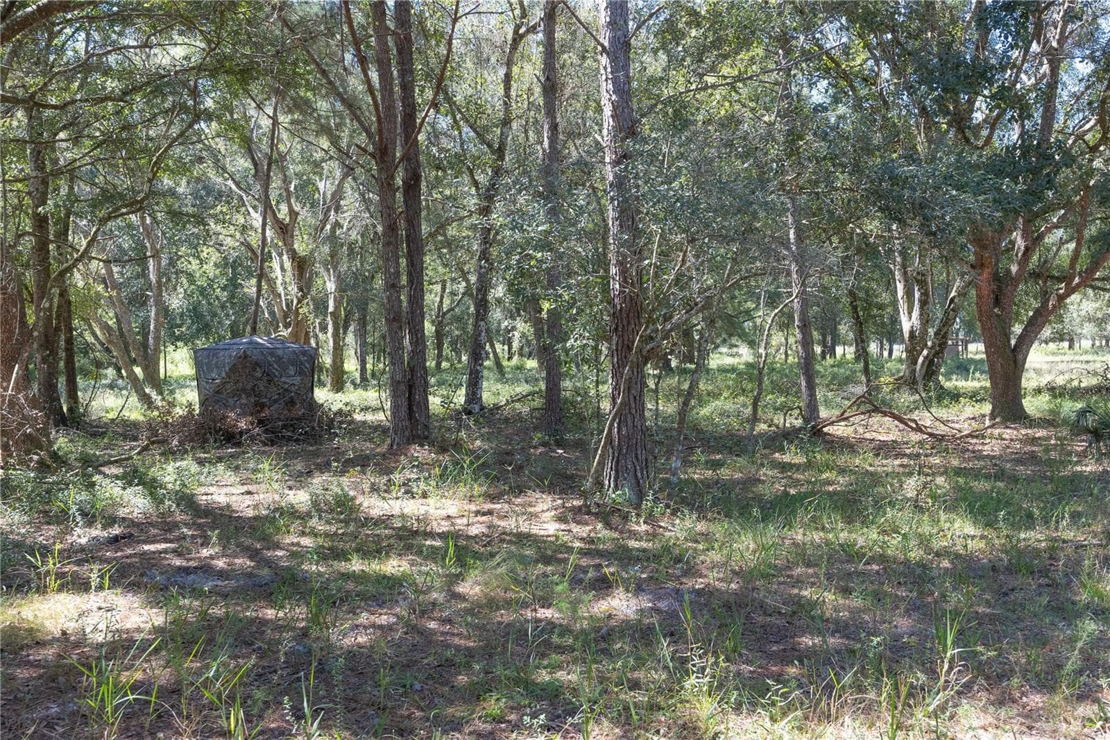 Land at TBD CR 673, WEBSTER, photo 20 of 69