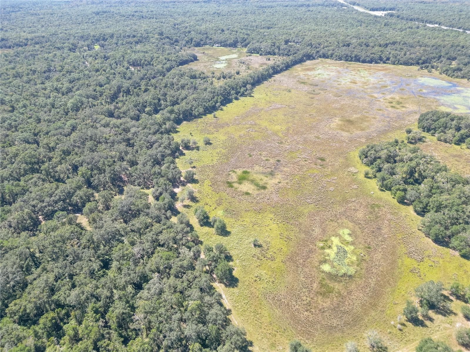Land at TBD CR 673, WEBSTER, photo 21 of 69