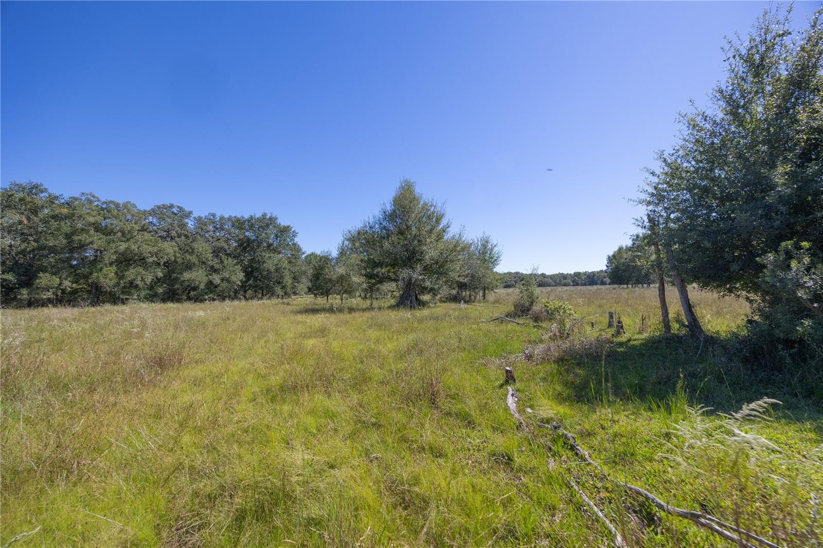 Land at TBD CR 673, WEBSTER, photo 22 of 69