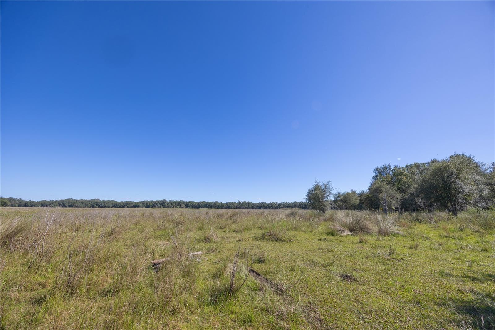 Land at TBD CR 673, WEBSTER, photo 23 of 69