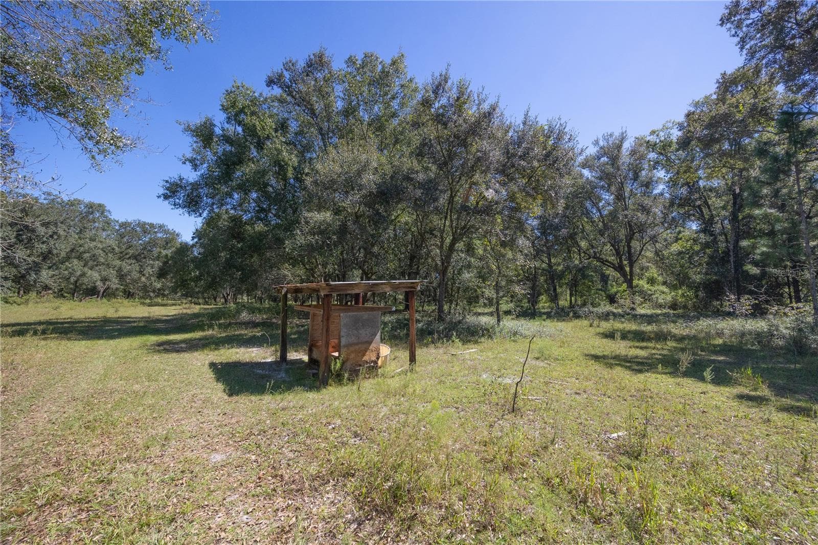 Land at TBD CR 673, WEBSTER, photo 28 of 69