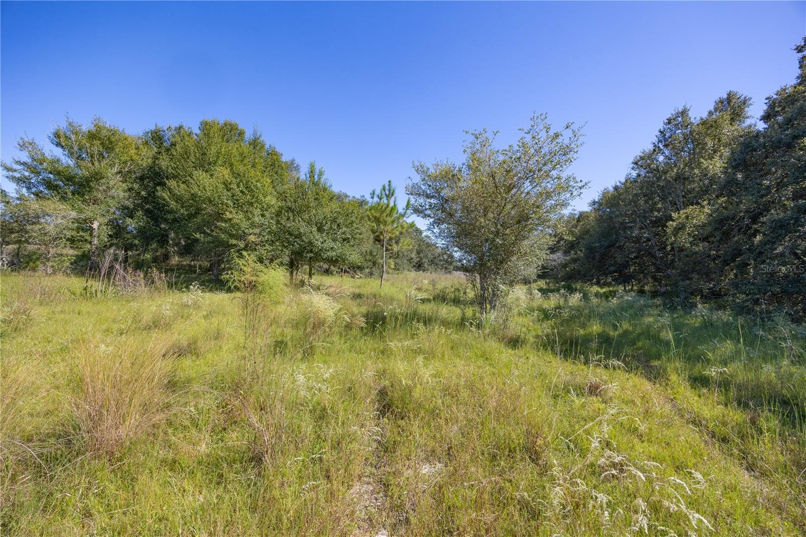Land at TBD CR 673, WEBSTER, photo 31 of 69