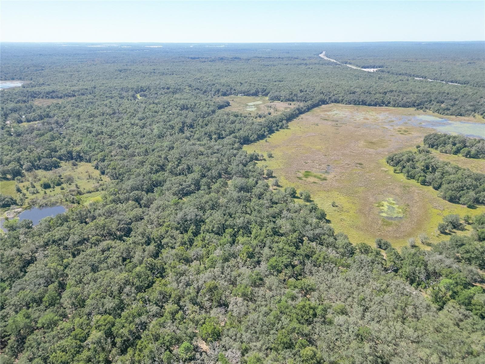 Land at TBD CR 673, WEBSTER, photo 32 of 69