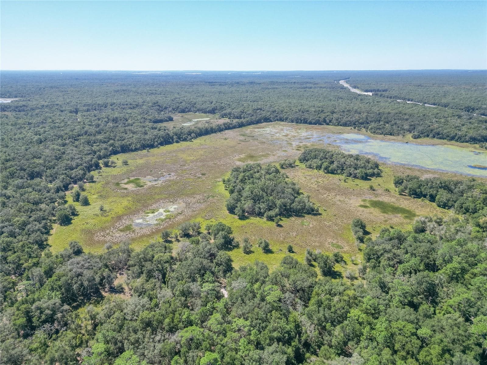 Land at TBD CR 673, WEBSTER, photo 33 of 69