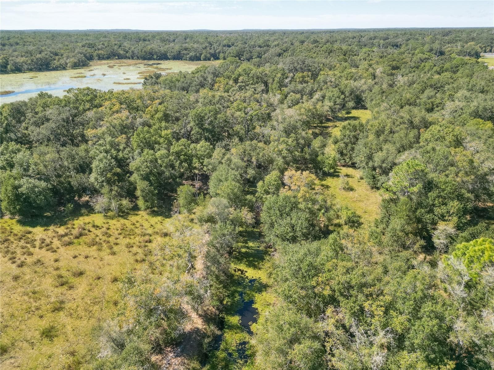 Land at TBD CR 673, WEBSTER, photo 35 of 69