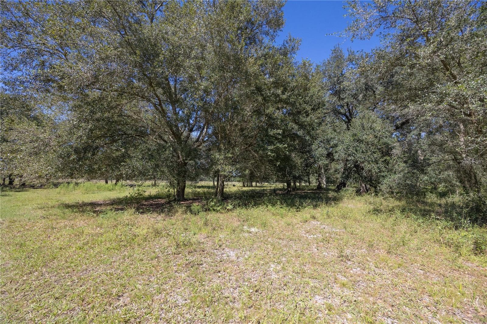 Land at TBD CR 673, WEBSTER, photo 37 of 69
