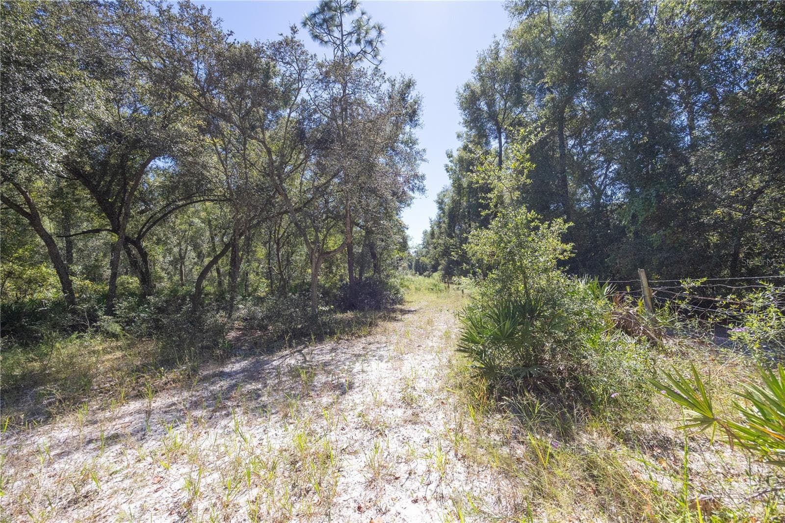Land at TBD CR 673, WEBSTER, photo 38 of 69