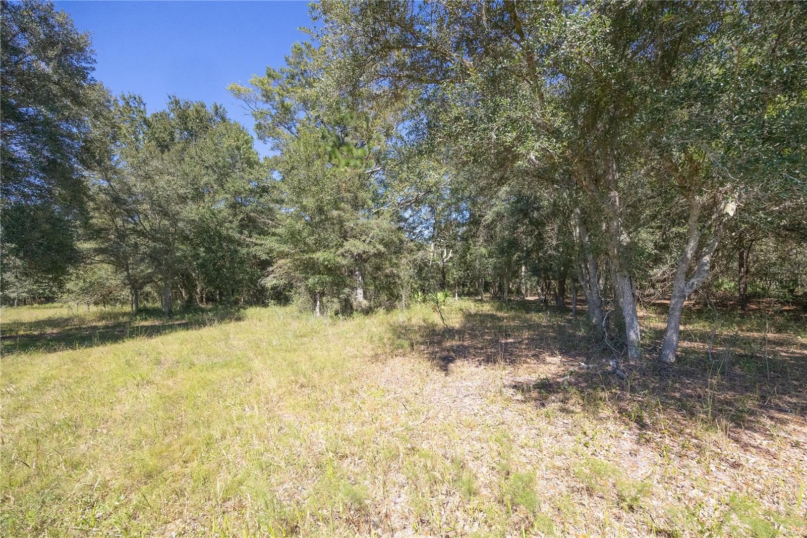Land at TBD CR 673, WEBSTER, photo 39 of 69