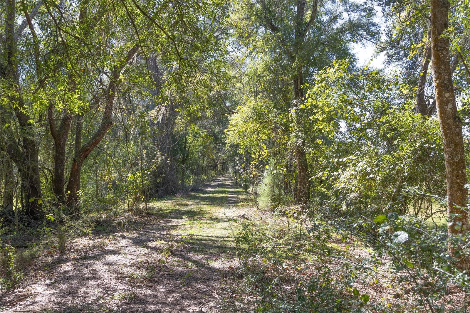 Land at TBD CR 673, WEBSTER, photo 40 of 69