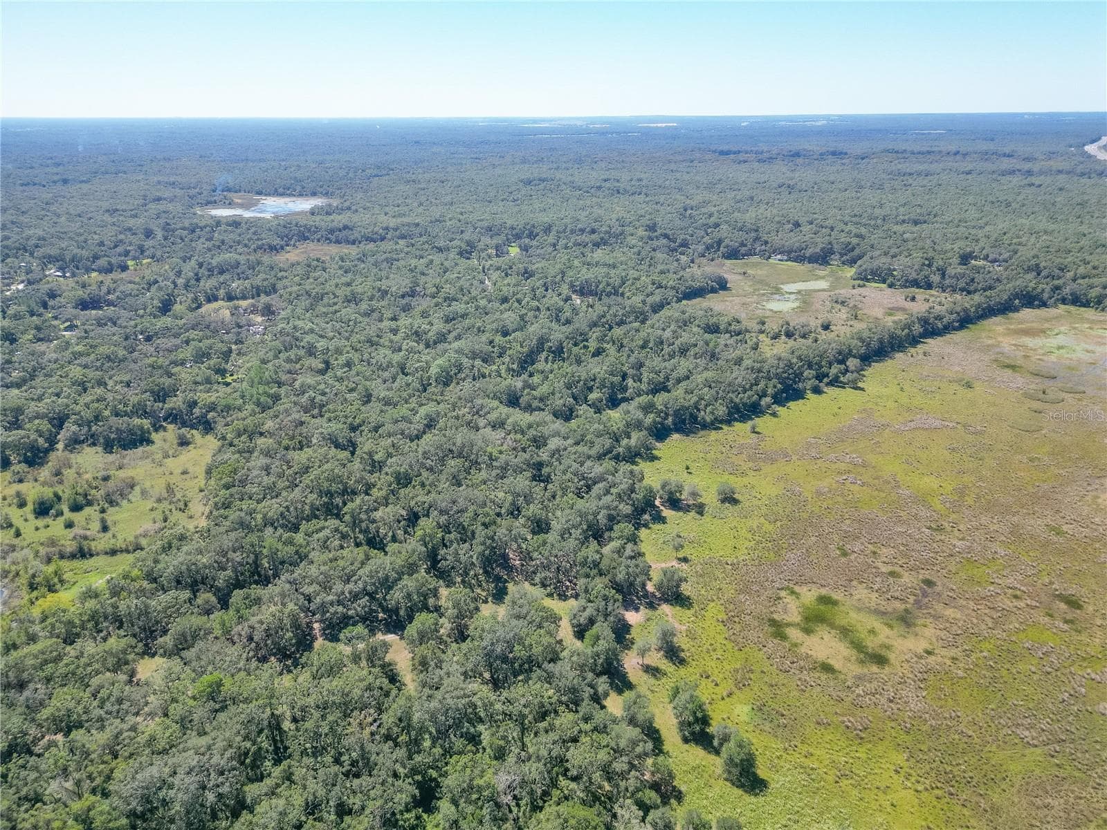 Land at TBD CR 673, WEBSTER, photo 41 of 69