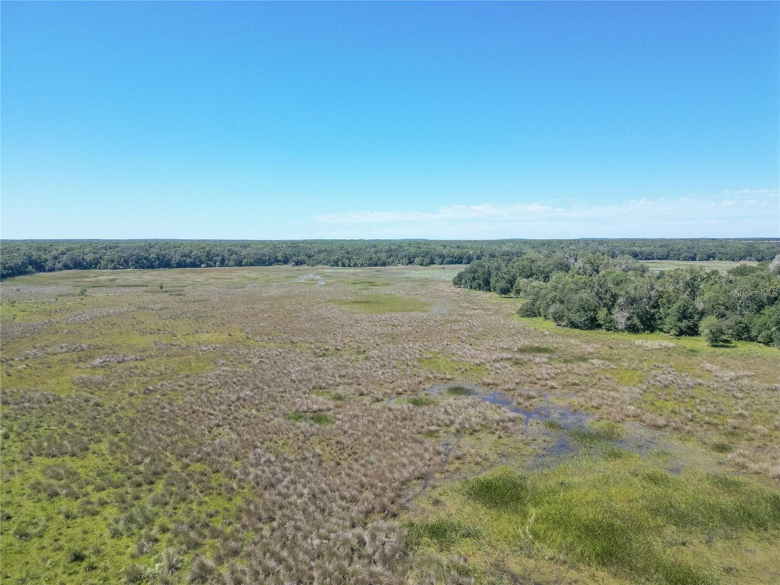 Land at TBD CR 673, WEBSTER, photo 42 of 69