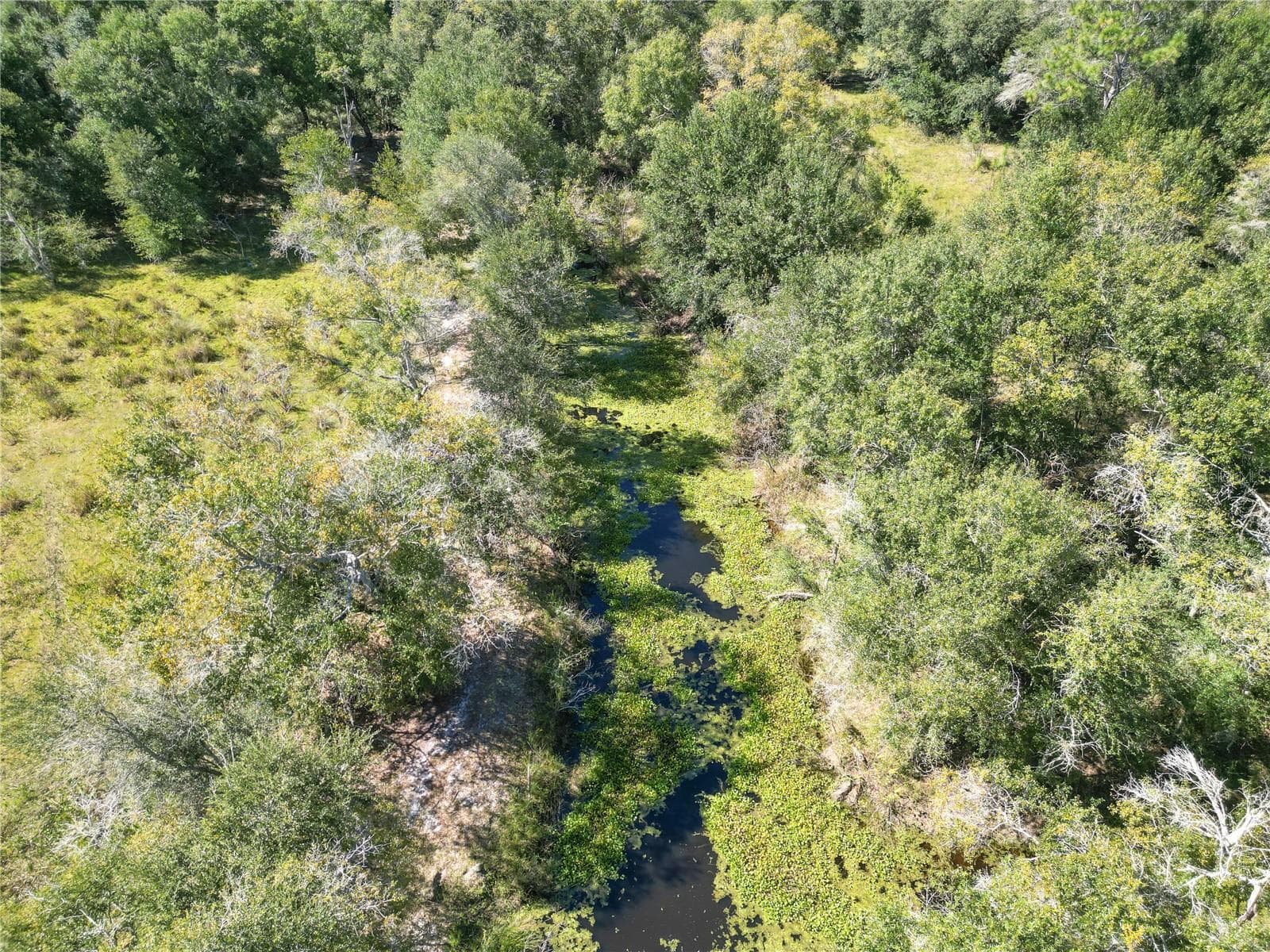 Land at TBD CR 673, WEBSTER, photo 44 of 69