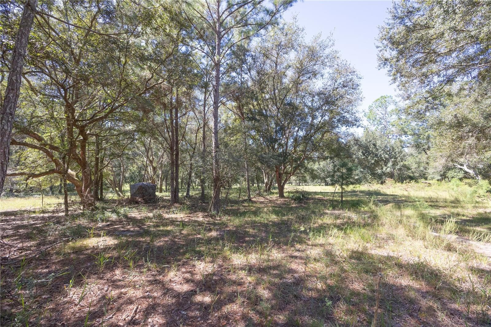 Land at TBD CR 673, WEBSTER, photo 45 of 69