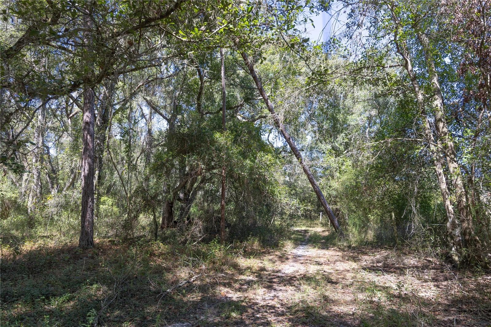 Land at TBD CR 673, WEBSTER, photo 46 of 69