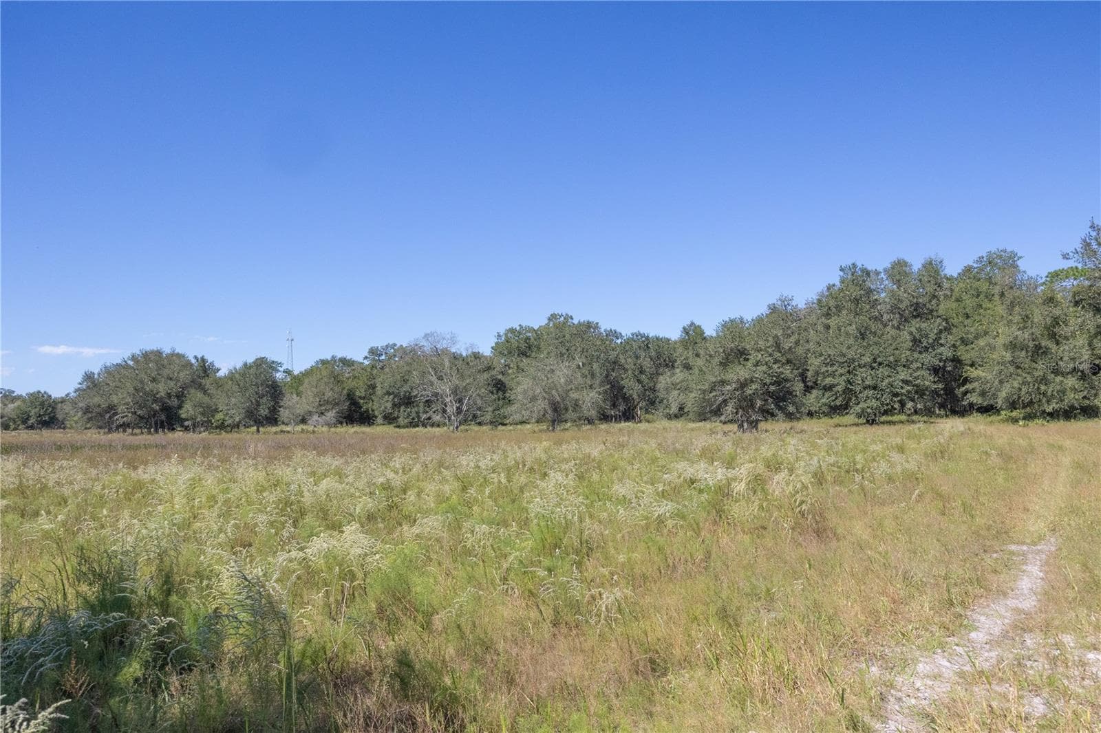 Land at TBD CR 673, WEBSTER, photo 47 of 69