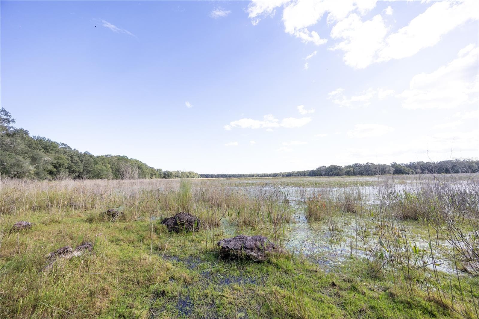 Land at TBD CR 673, WEBSTER, photo 48 of 69