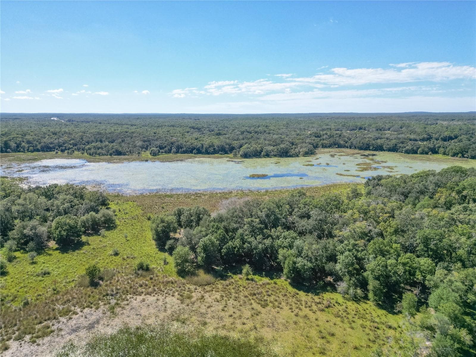 Land at TBD CR 673, WEBSTER, photo 49 of 69