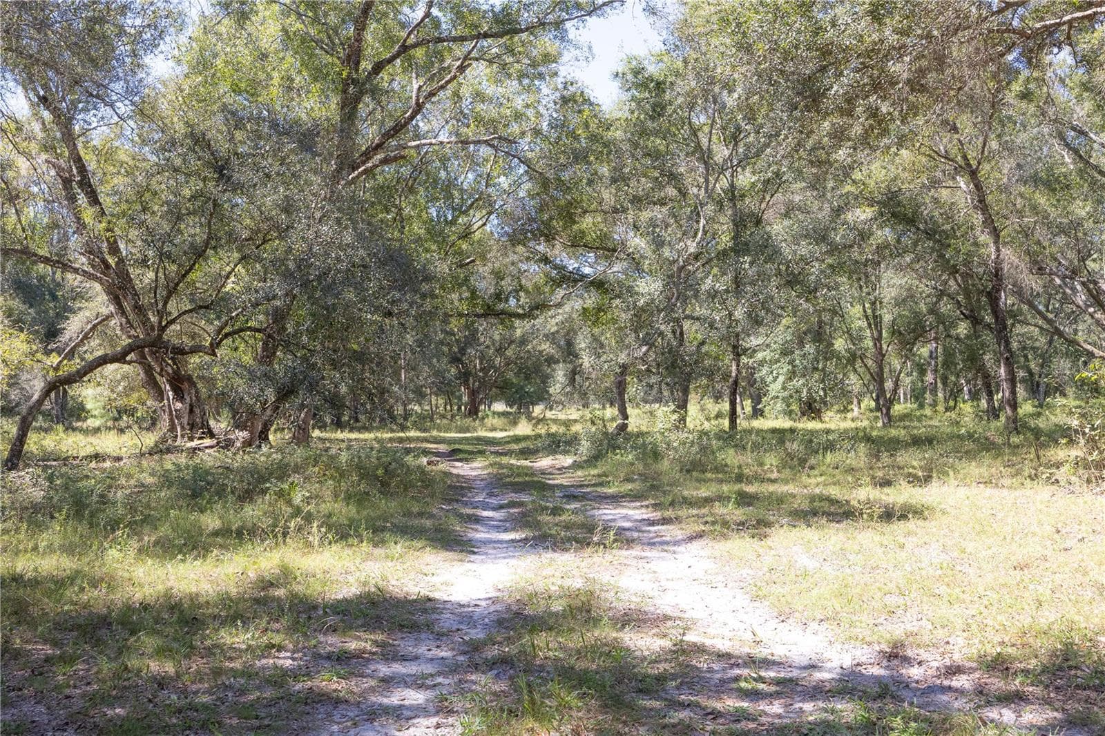 Land at TBD CR 673, WEBSTER, photo 51 of 69