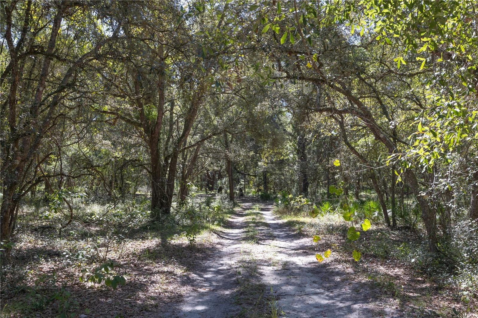 Land at TBD CR 673, WEBSTER, photo 55 of 69